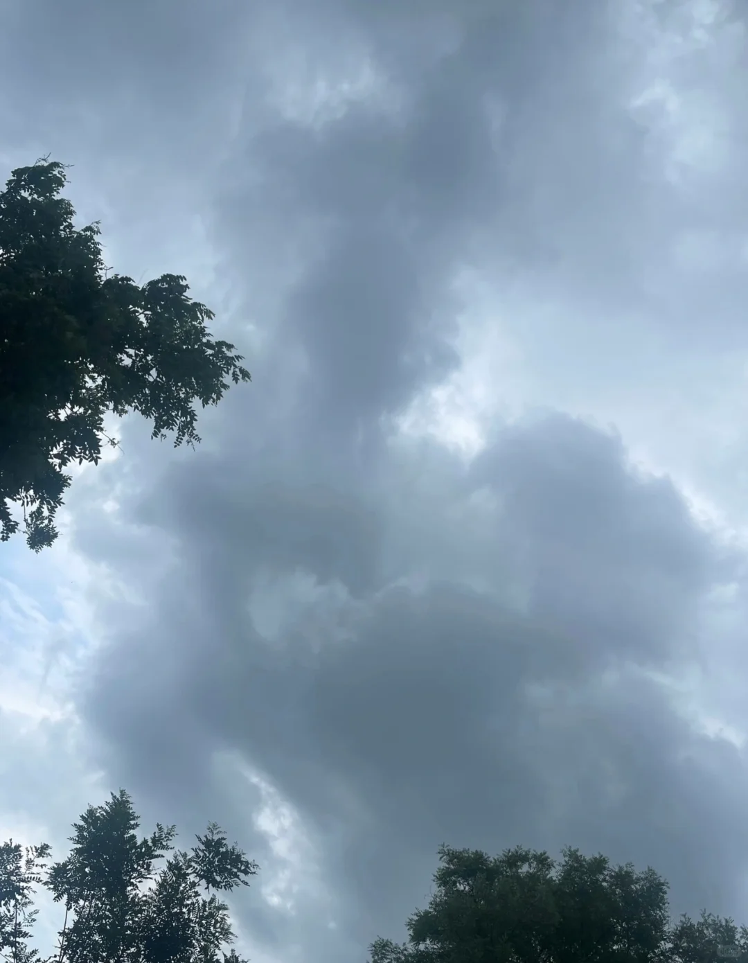这个天气是要晴还是要阴 别☔️了