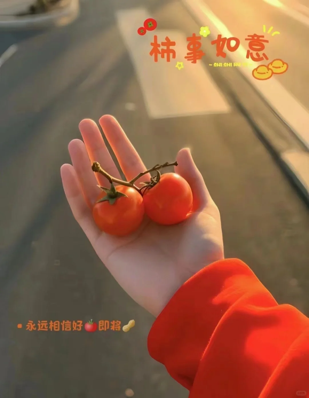 路过的发一张你推的角色