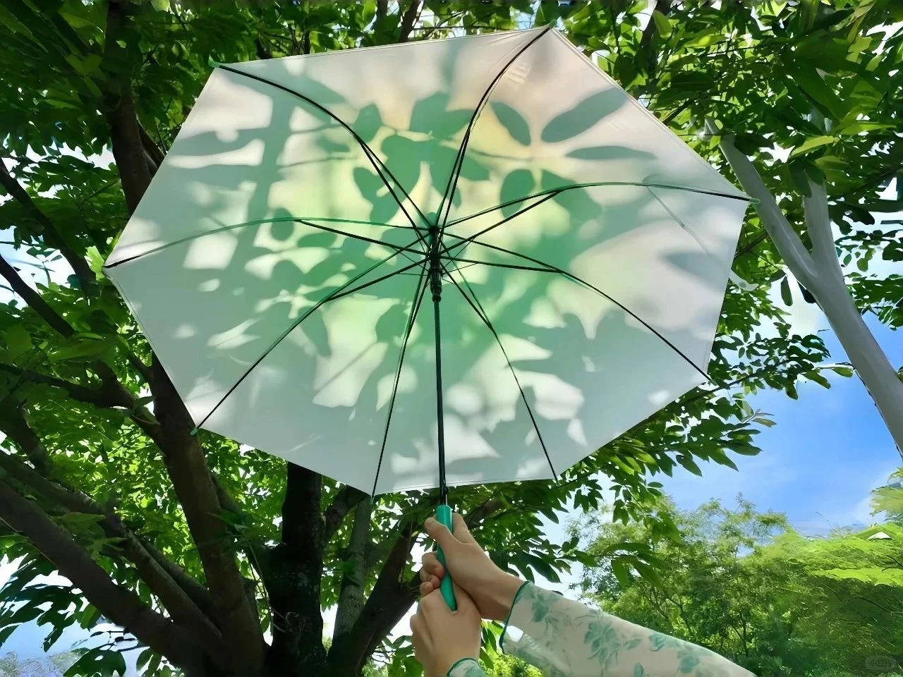 𝐒𝐡𝐚𝐫𝐞｜ipad壁纸 夏天要来了吗？