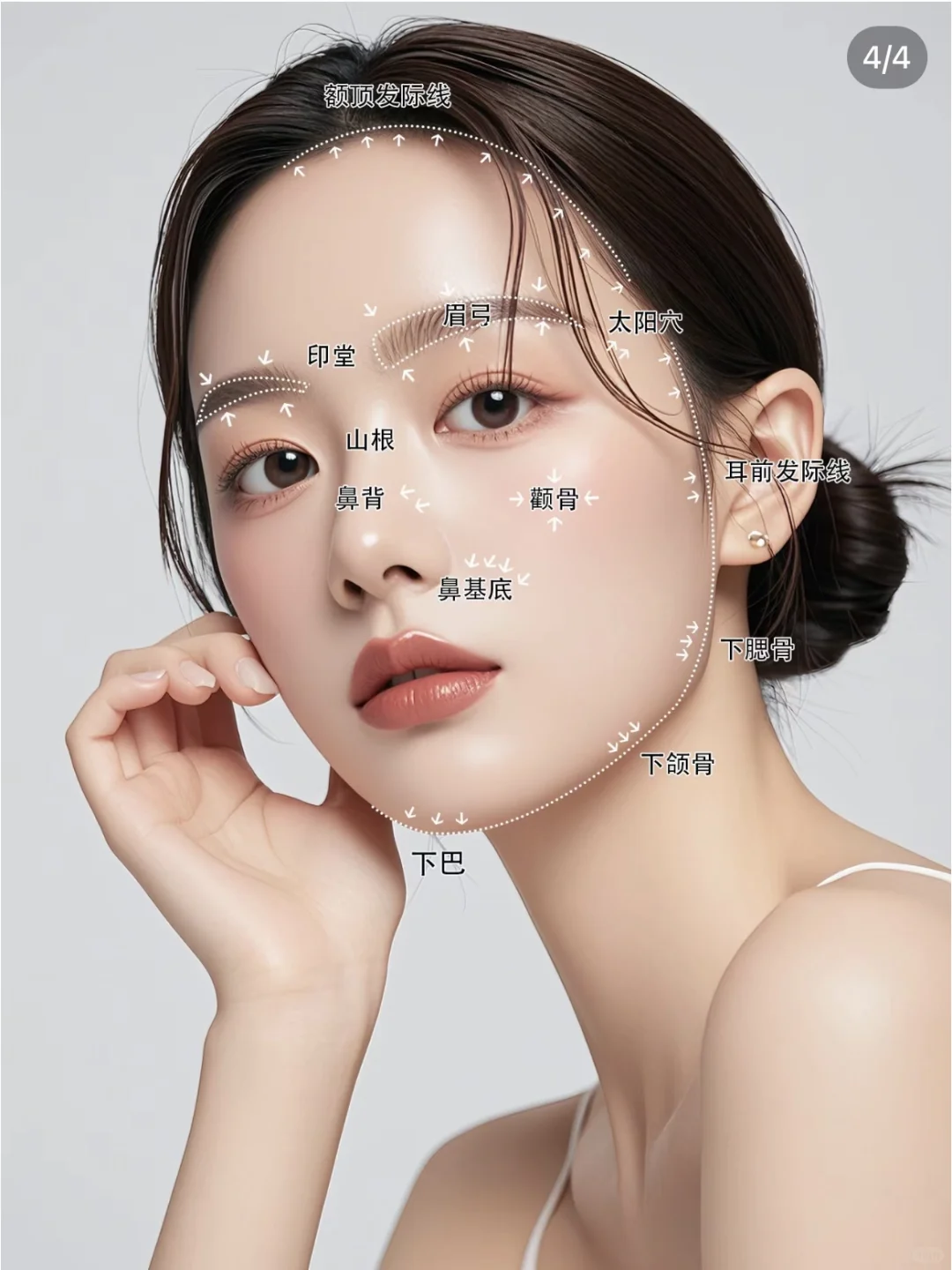 面部美学解析