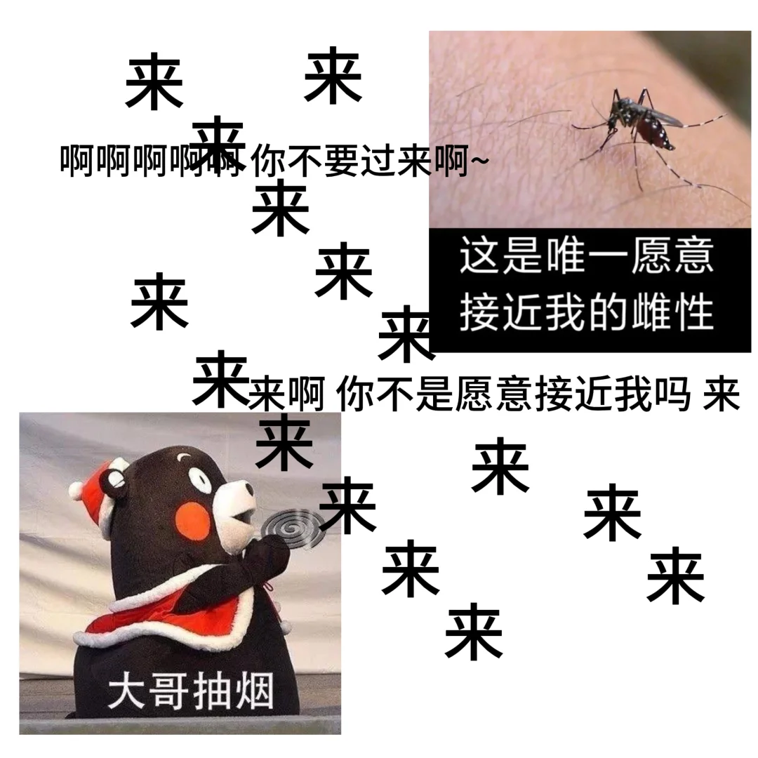 来呀 你过来呀~[坏笑R][坏笑R]