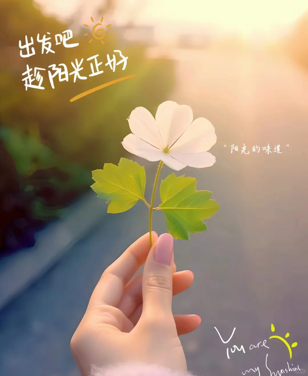 路过的发一张你推的角色
