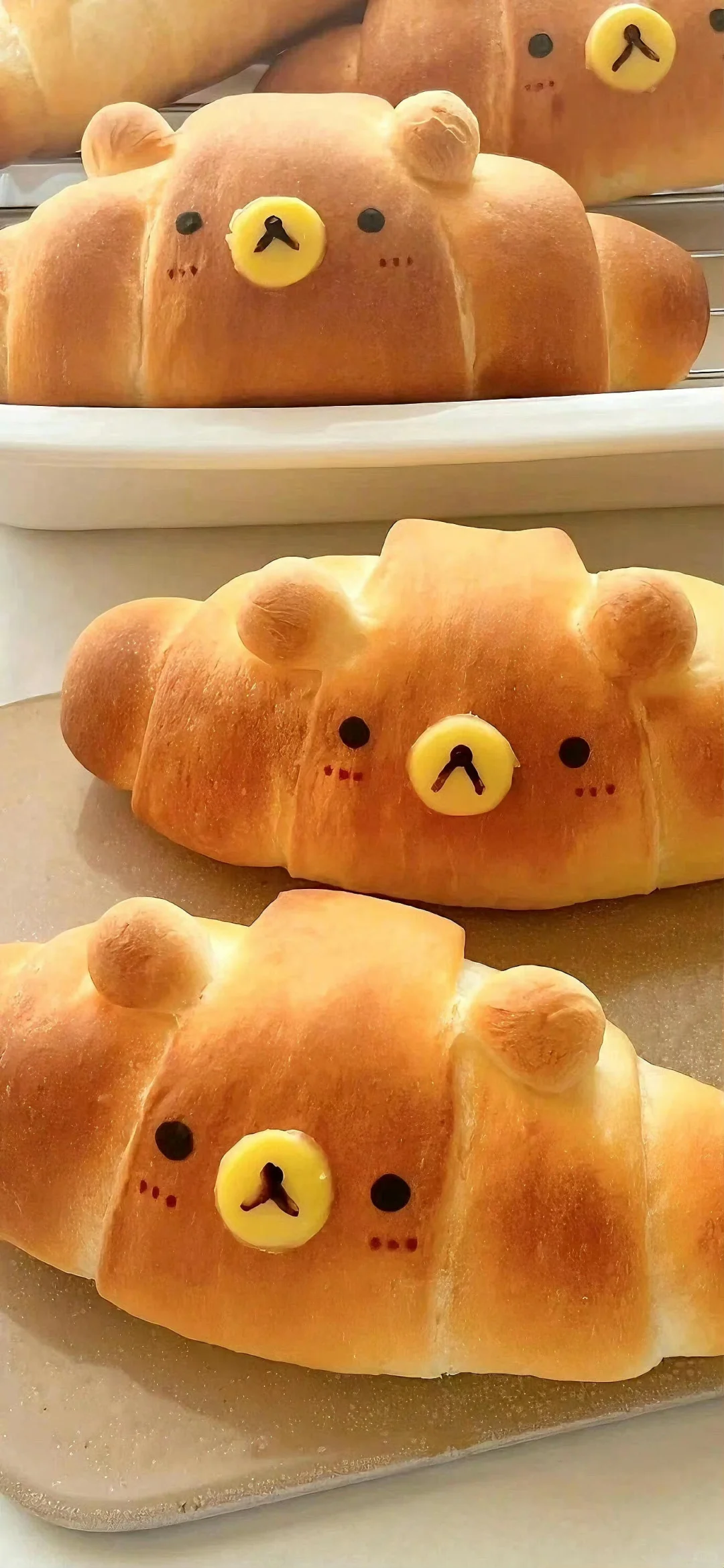 丰富一下手机壁纸吧🍄‍🟫