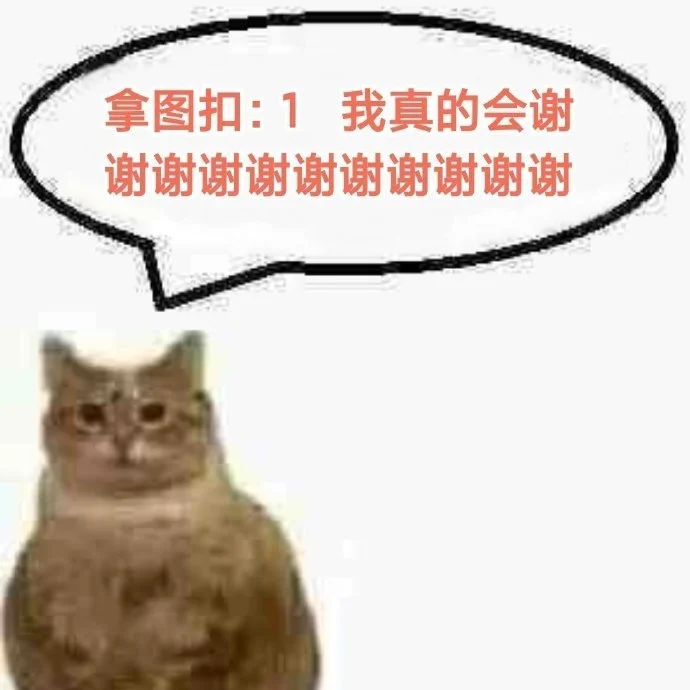 明媚感女生头像🧸