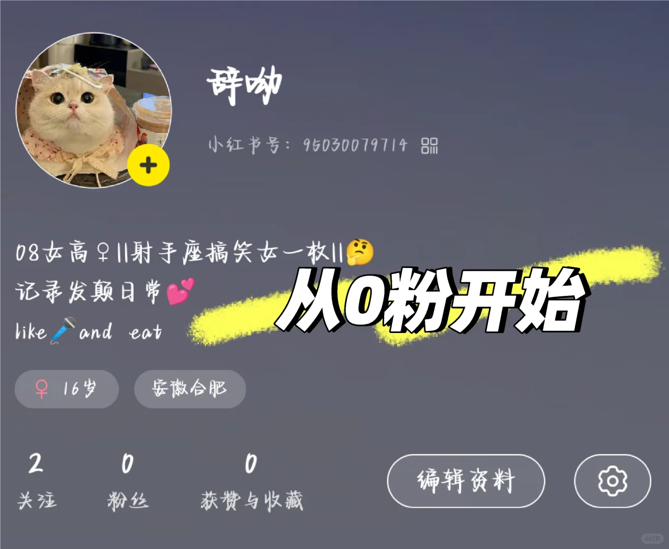 救命！女高中生真的很想做自媒体！！在线等