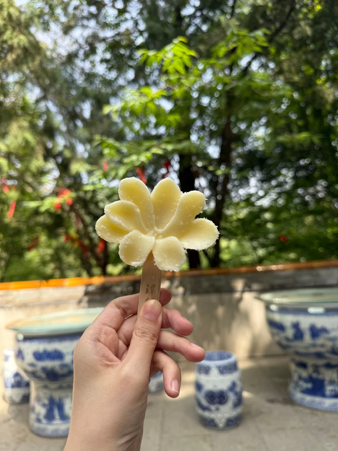 每天感觉好幸福充满能量