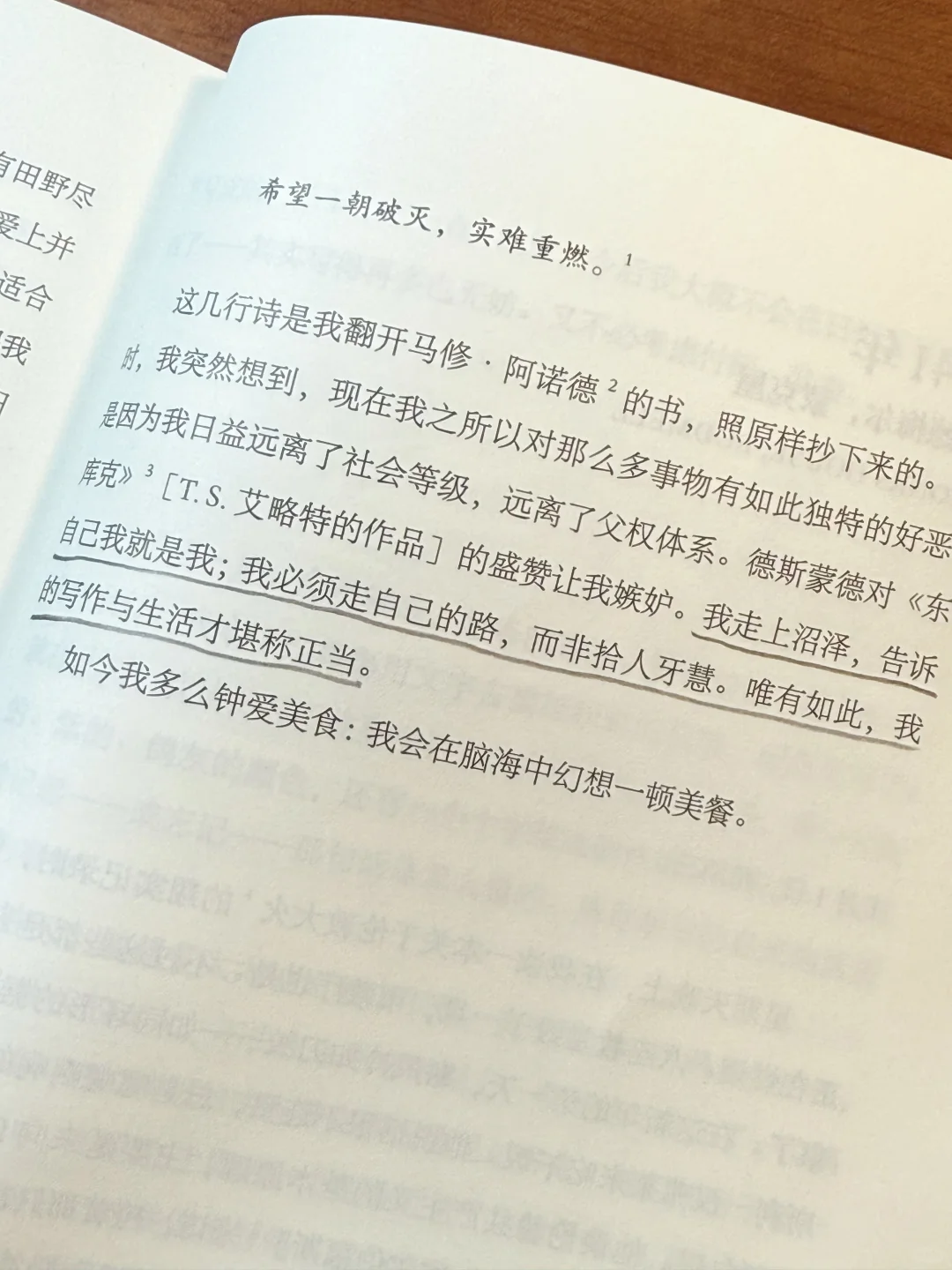 我把思想给了这本书📖