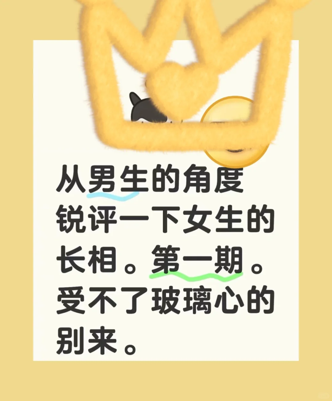 来自男生的客观评价！！！