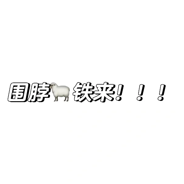 🧣vb羊铁宝宝们