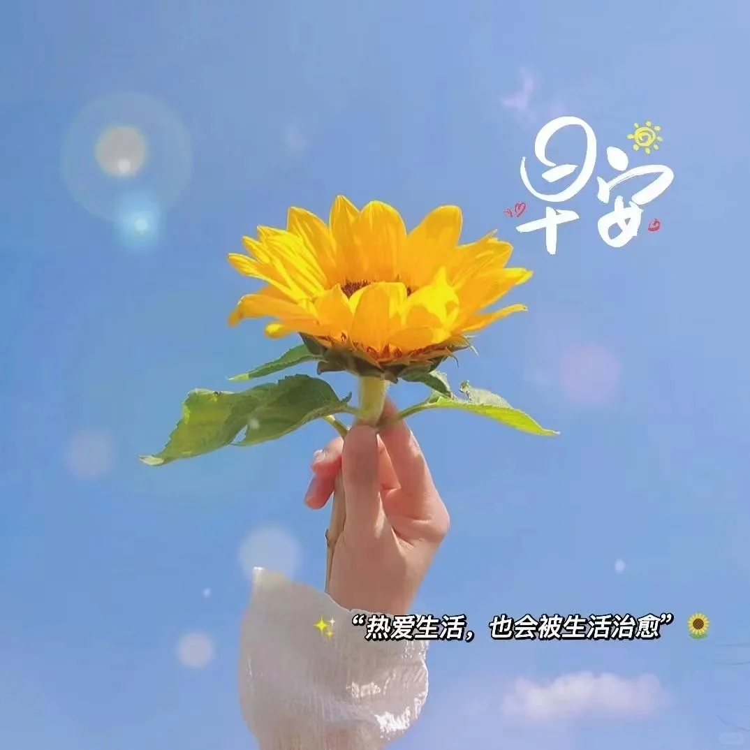 路过的发一张你推的角色