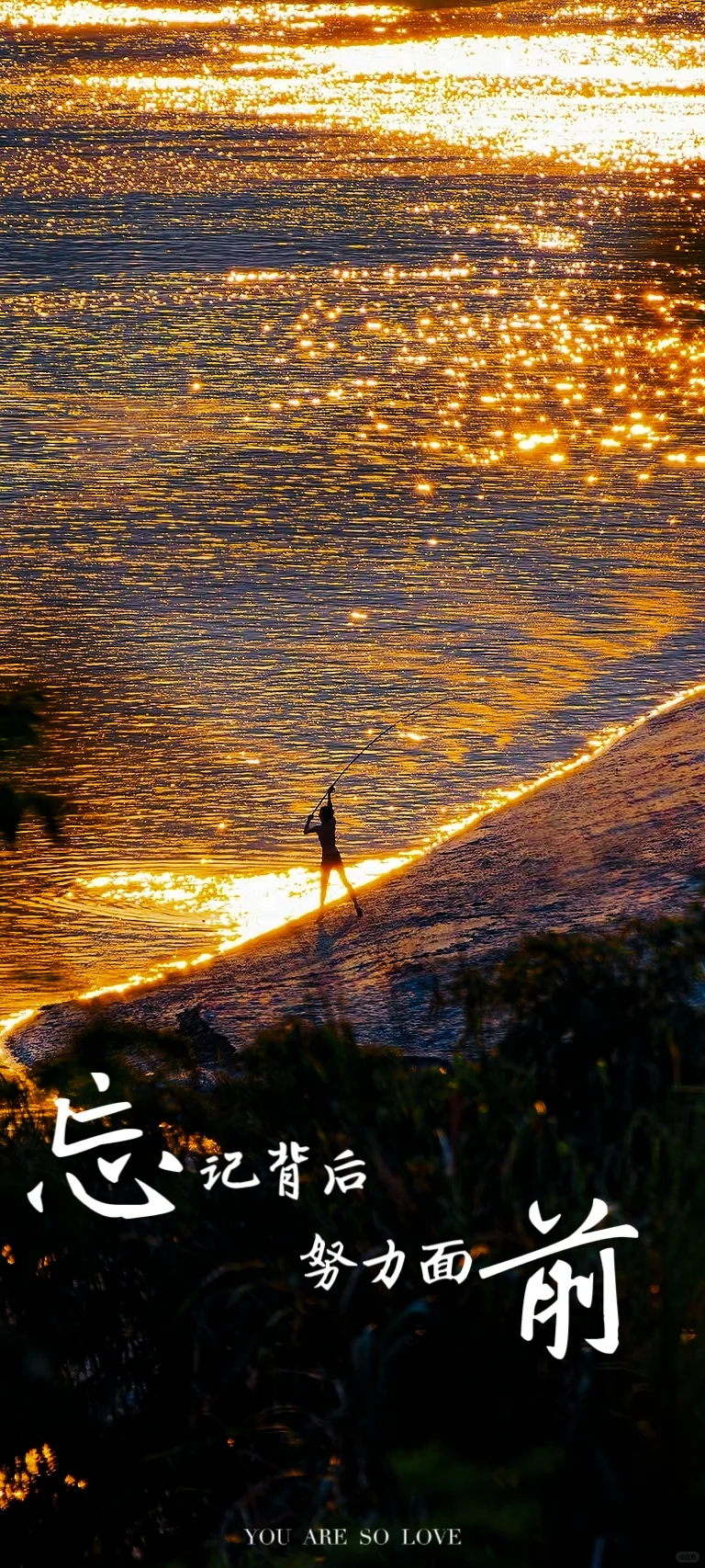 “寻道追光的道路终必是坦途”