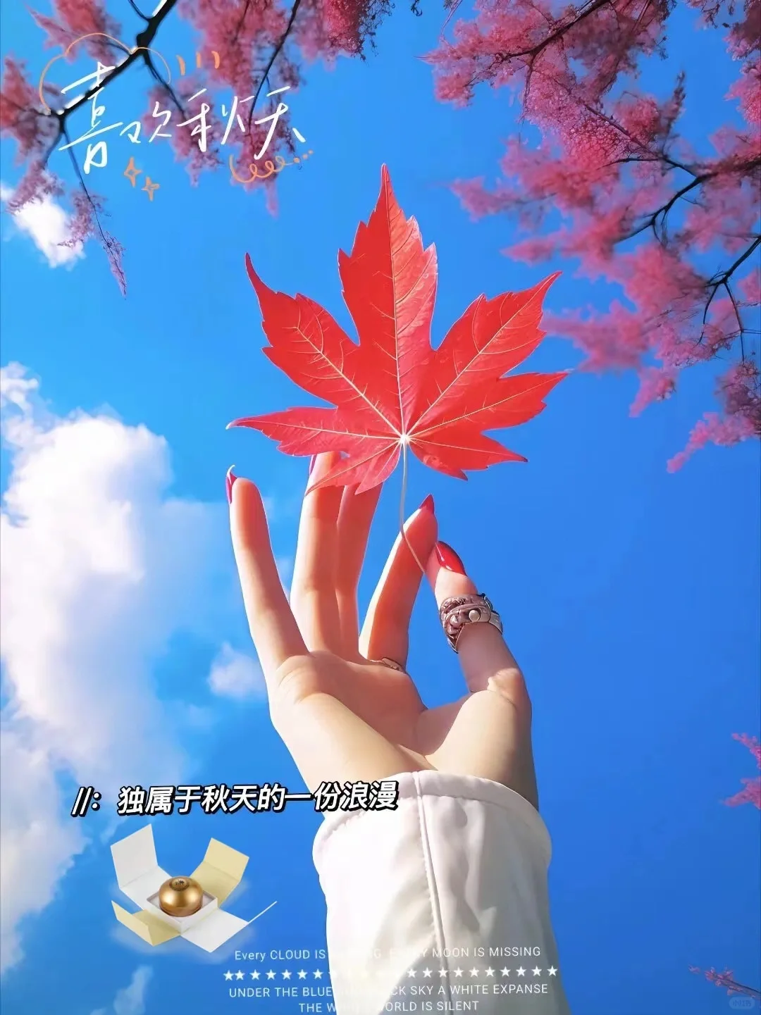 路过的发一张你推的角色