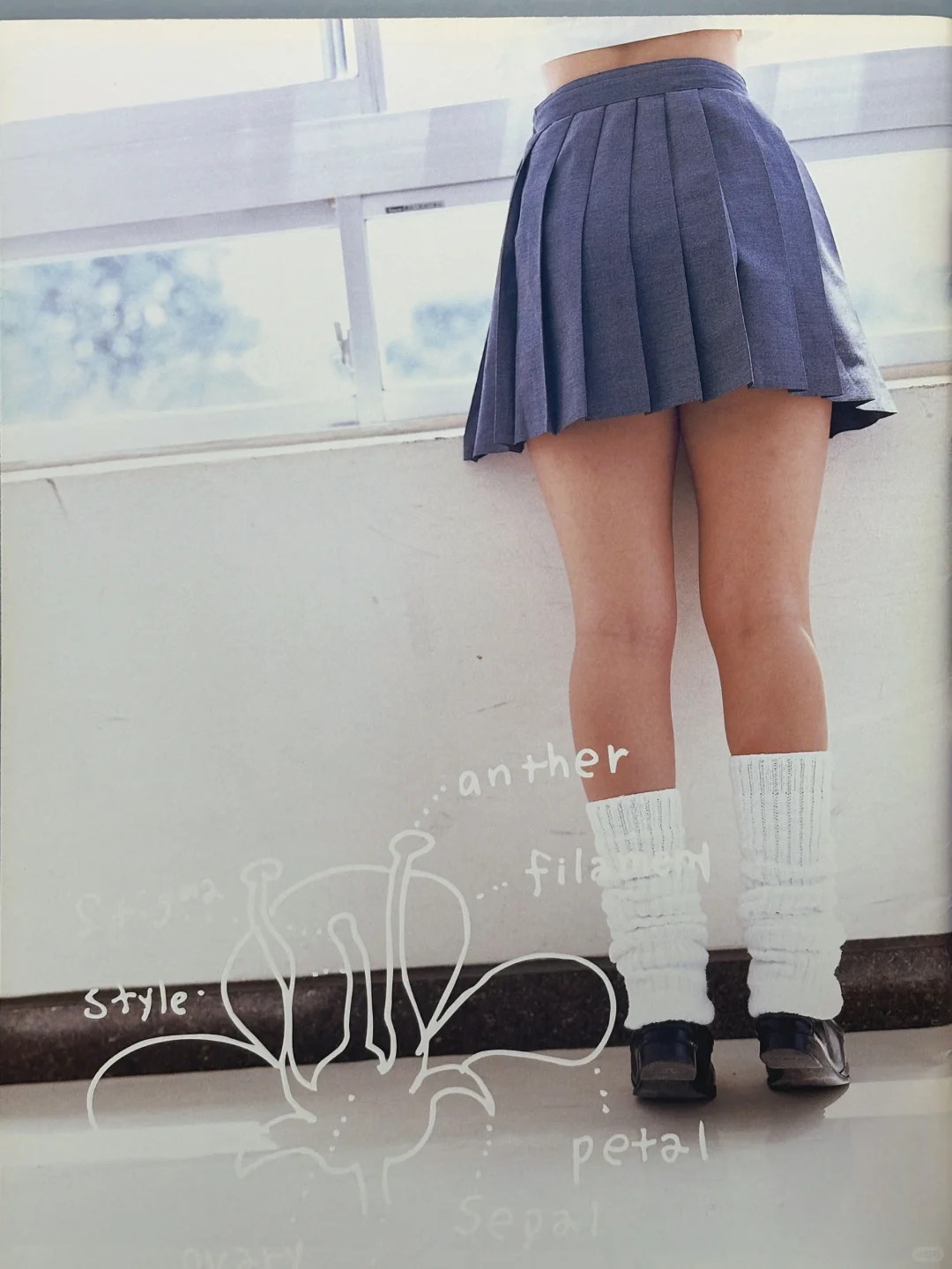 月刊 野波麻帆