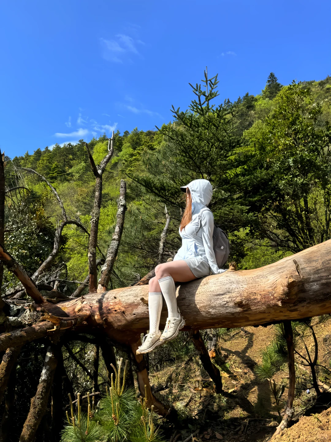 “i人的治愈时刻：躲进山里，能量拉满”