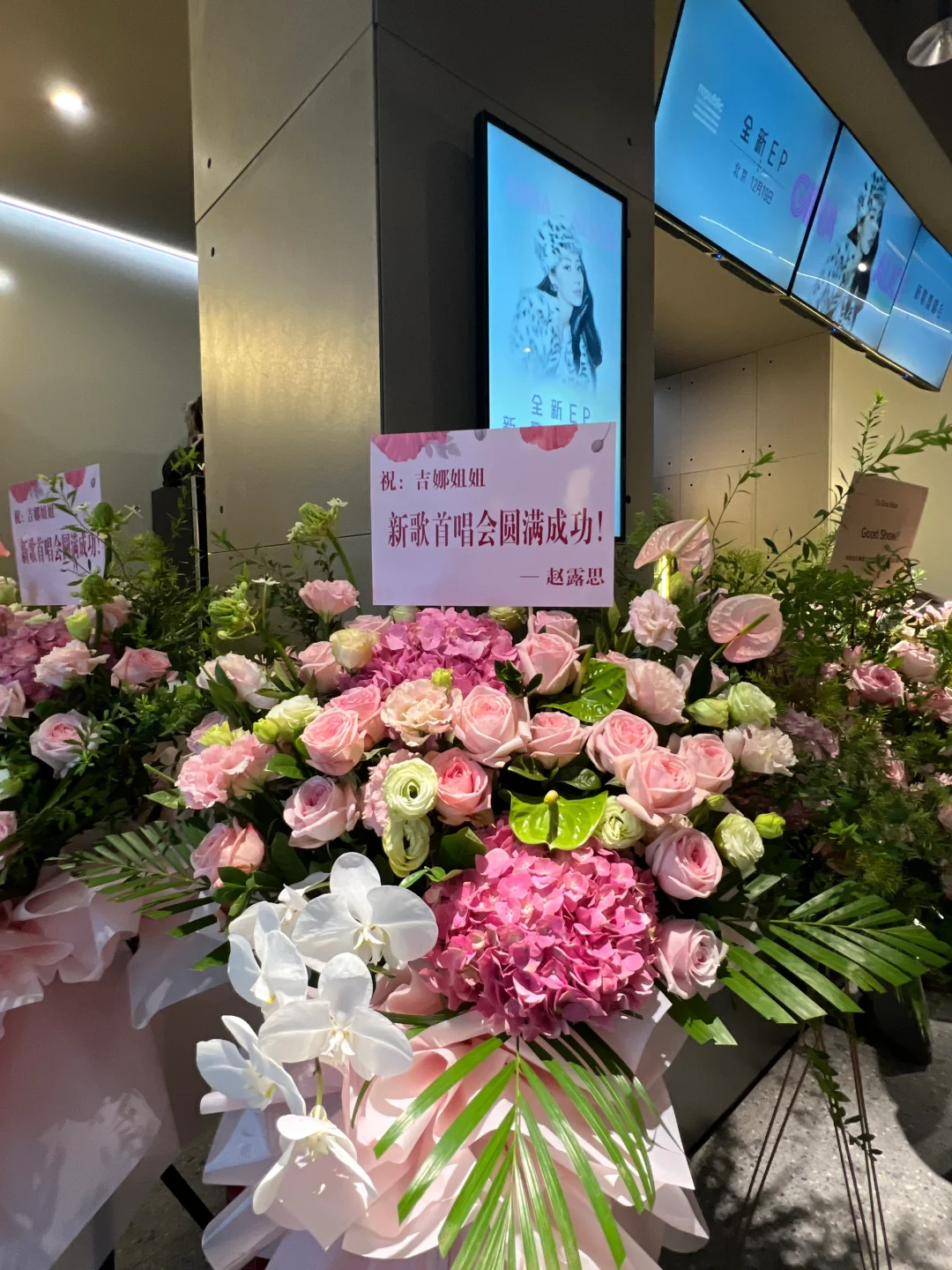 梦幻联动‼️在吉娜的演唱会看到了赵露思妹