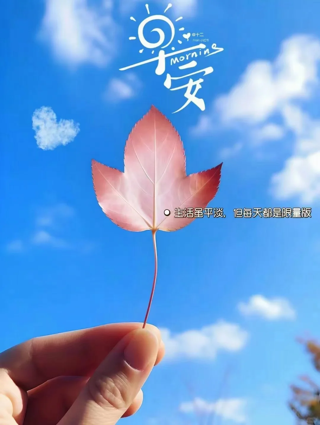 路过的发一张你推的角色