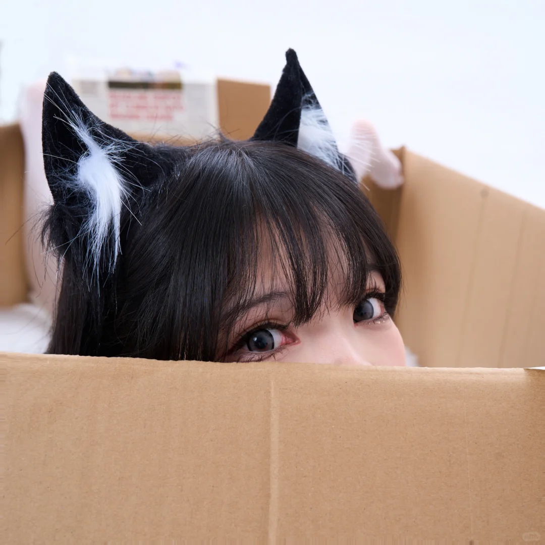 纸箱猫猫