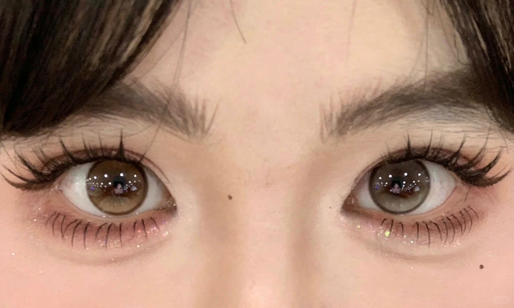 🐈‍⬛汤姆的梦中情猫跑出来啦～👁️（