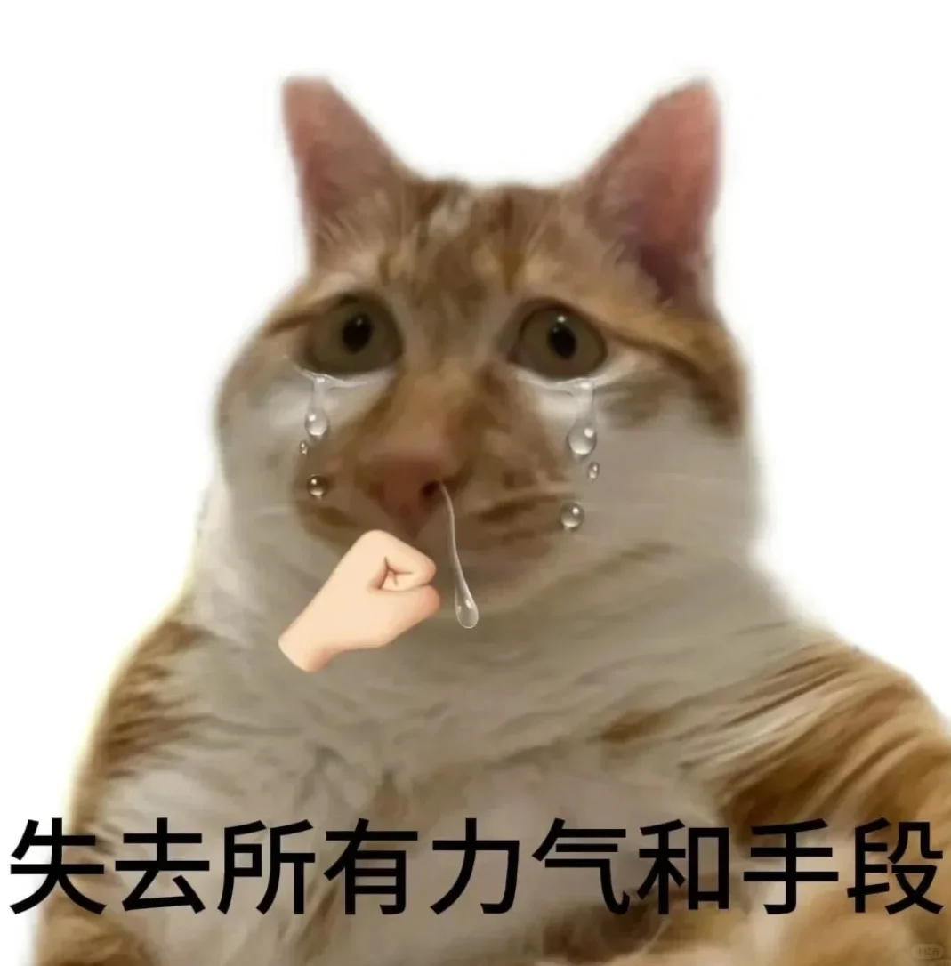这种屎糊一圈在嘴上的老抽猫真的特别搞笑