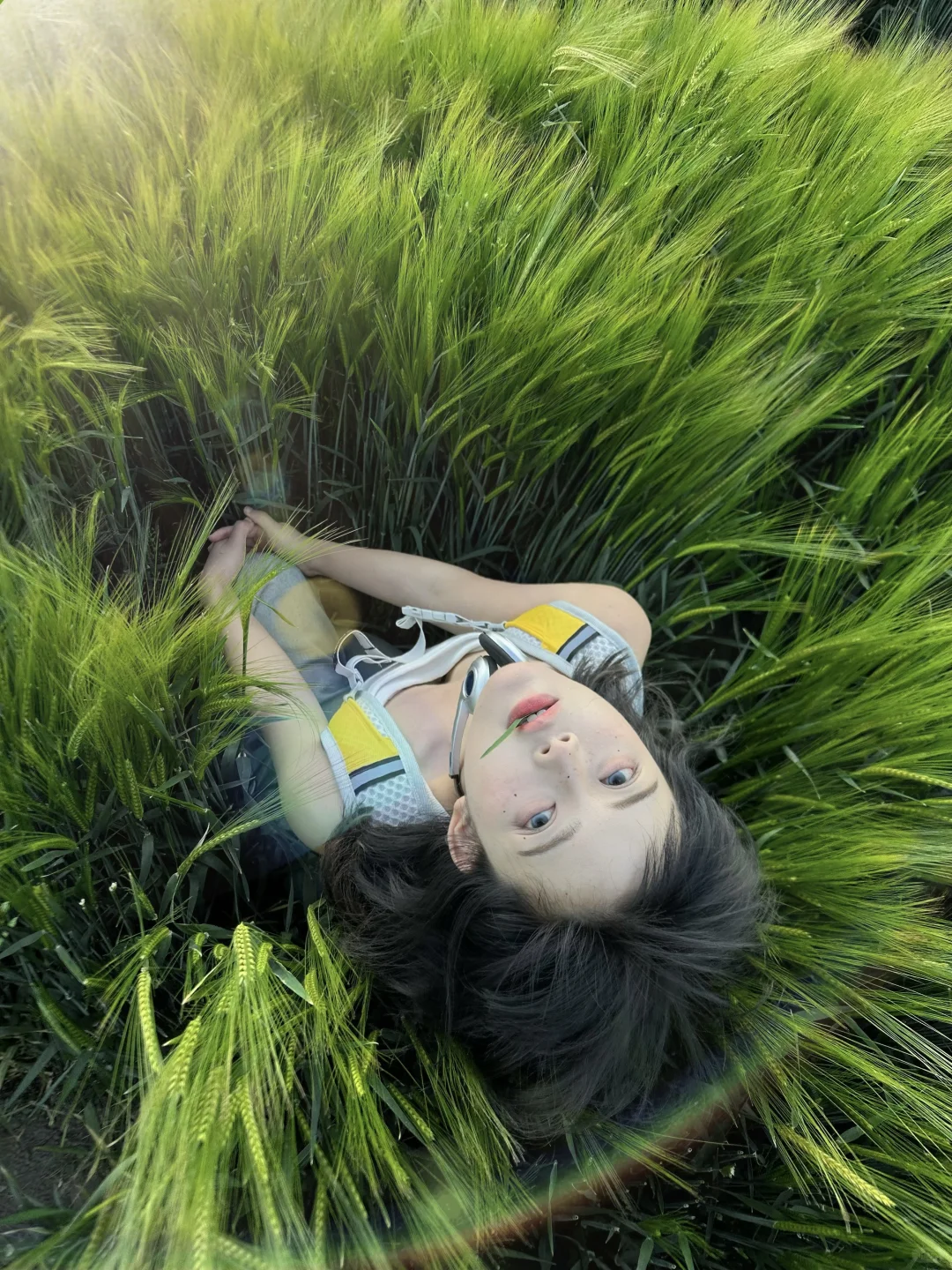 自由 短发 麦田
