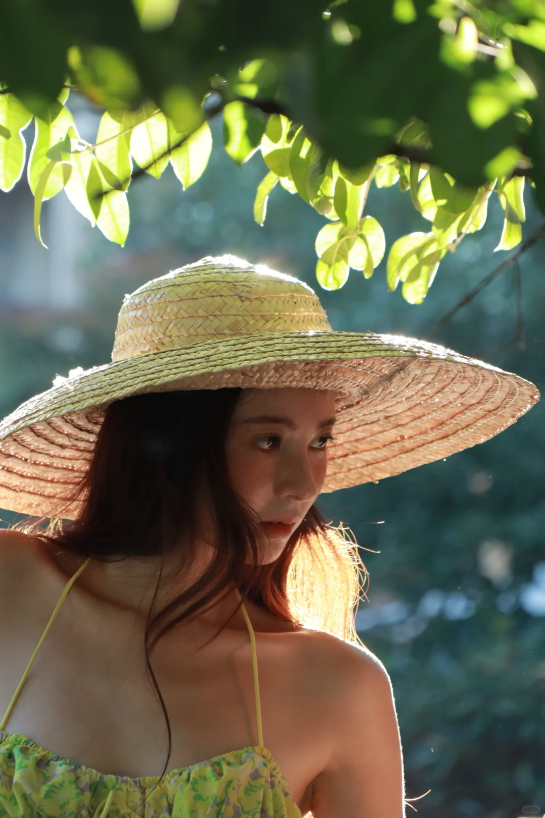 被100w人看过的一组夏日写真她们说纯靠人美