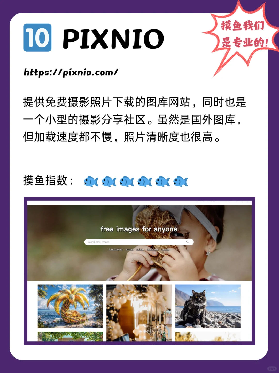 找图不发愁！你缺这10个高清无版权图片网站！