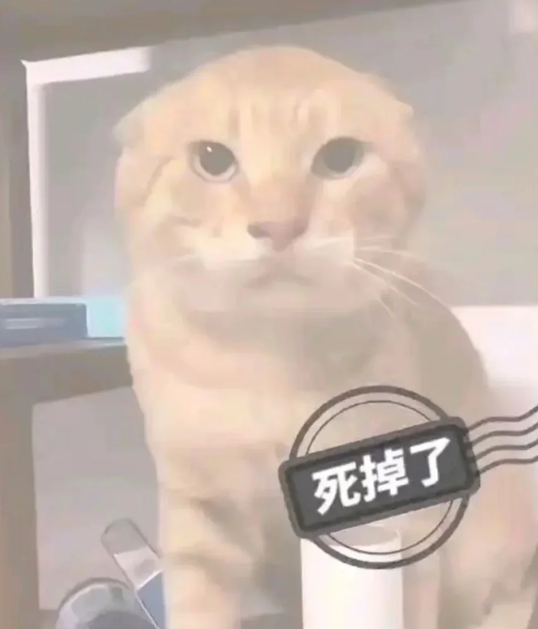 唉，做女的好难