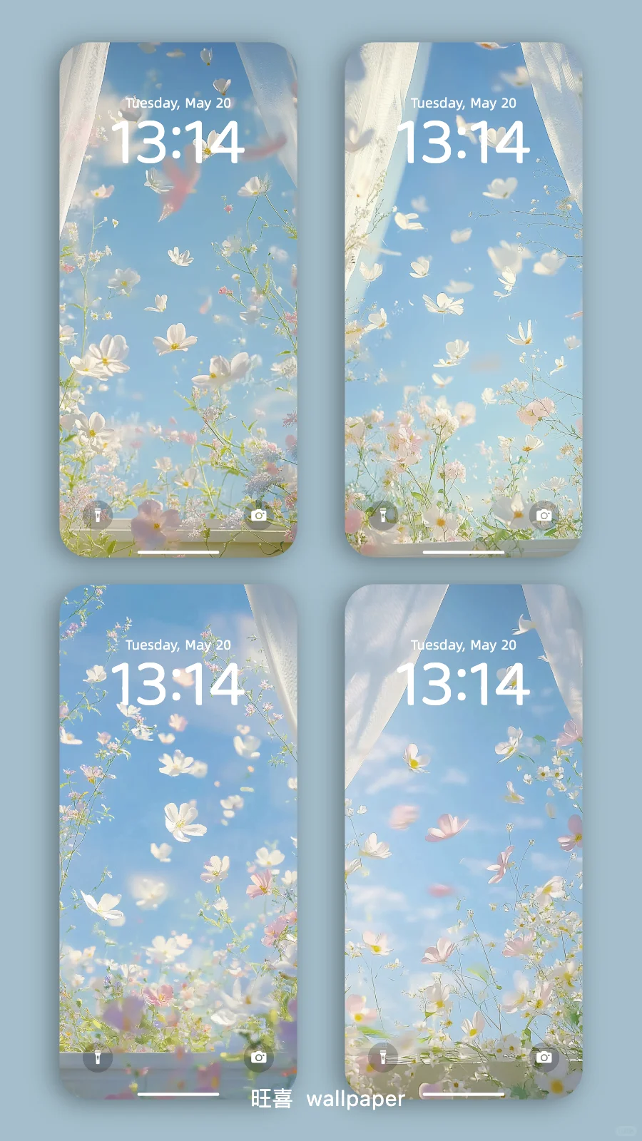 手机壁纸｜梦幻格桑花｜4