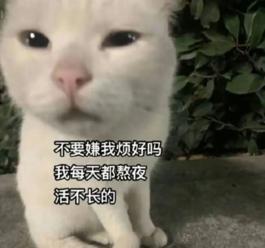 贱兮兮表情包