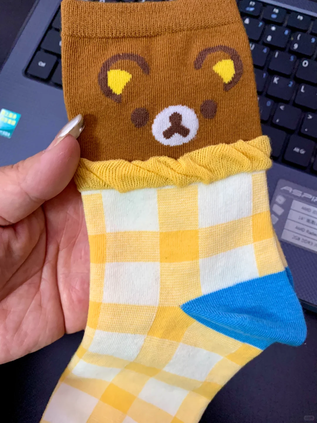 Vocal～这家袜子美炸了～还是轻松熊🐻