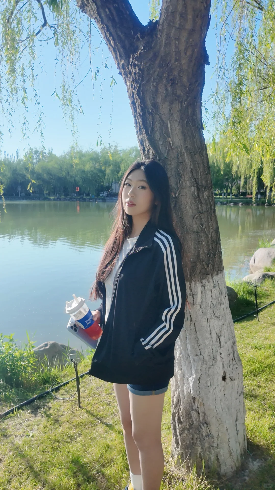 我与夏