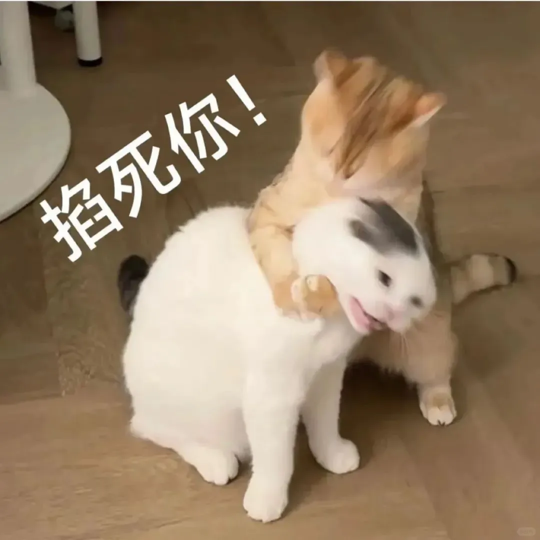 贱兮兮表情包