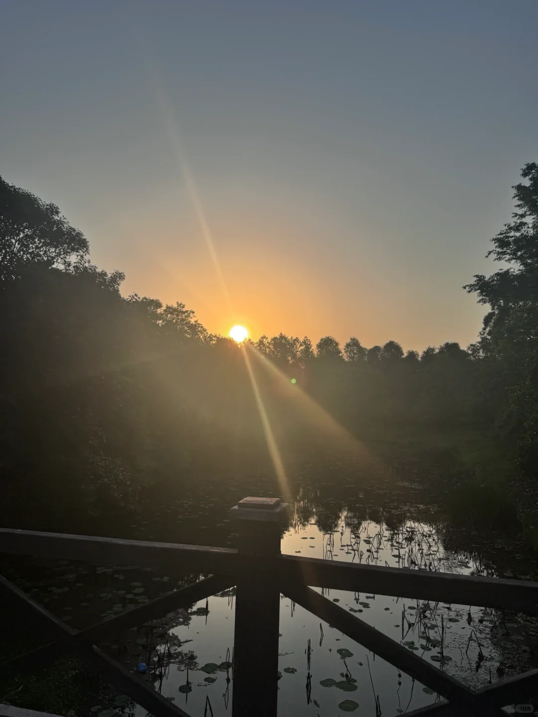 荒凉到不敢相信这是花钱进去的景点