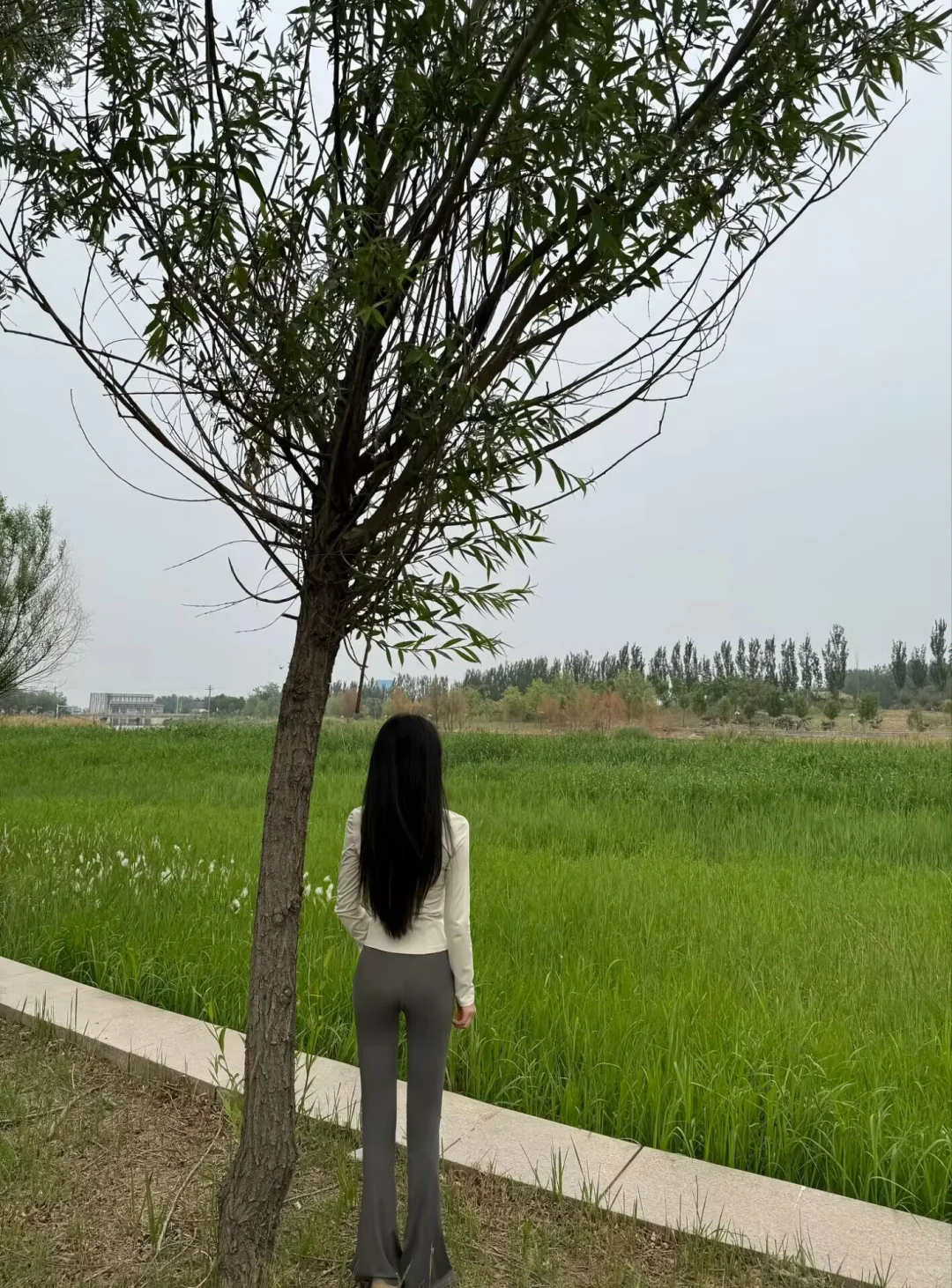 【觅恒常聊伴】