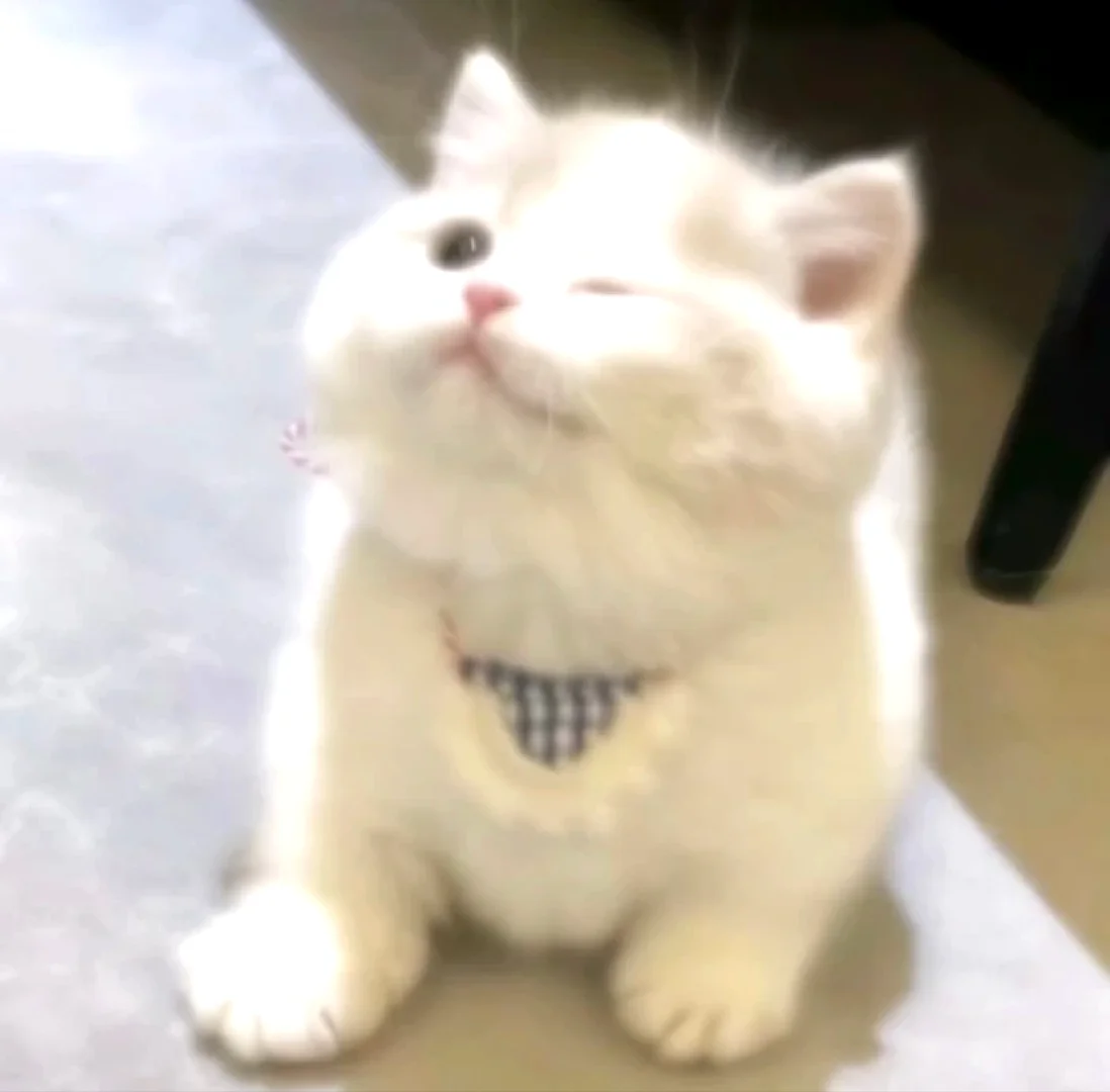 人 你拿什么抵抗我！