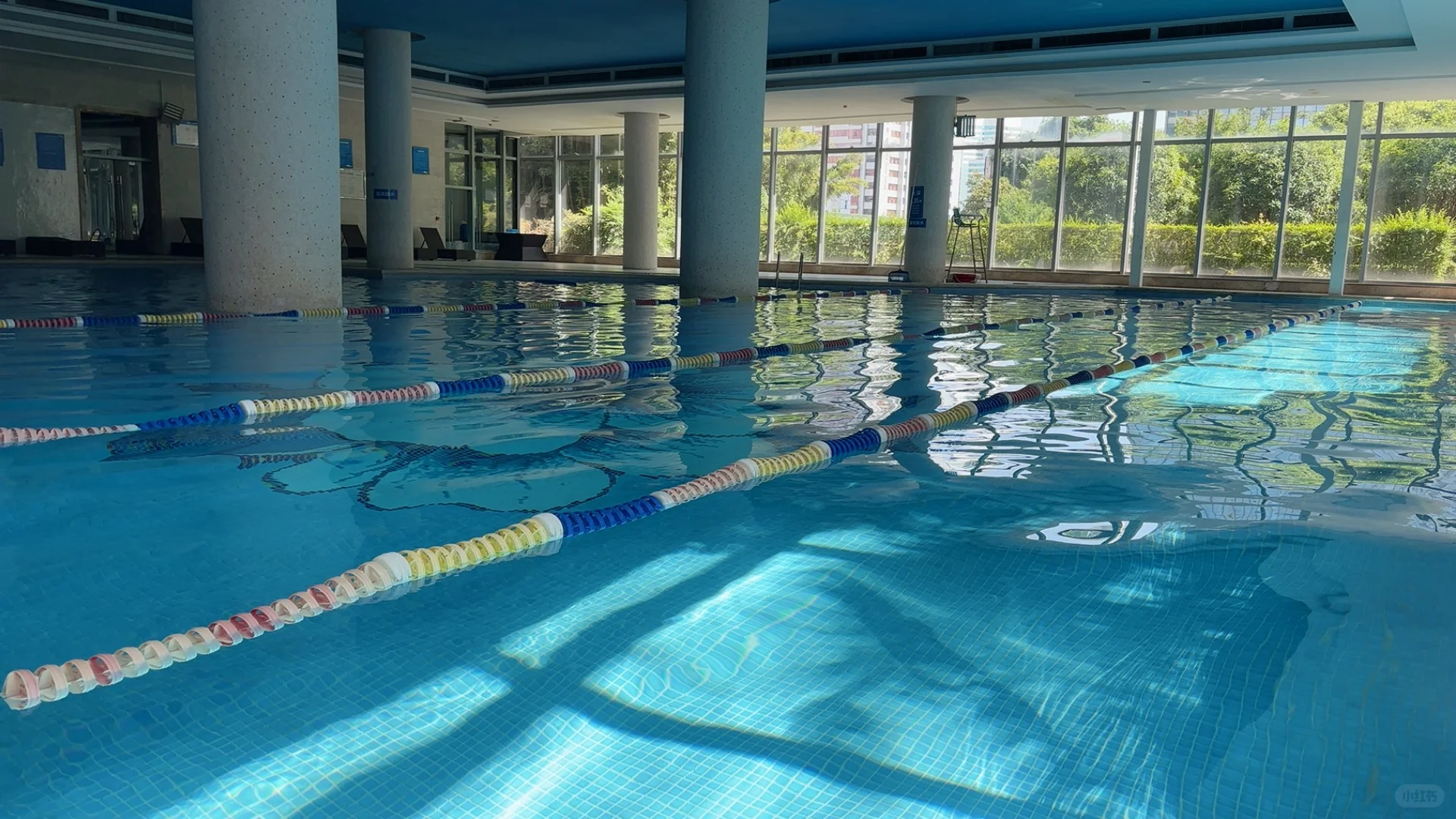 成都教游泳女教练一枚☀️🏊‍♀️