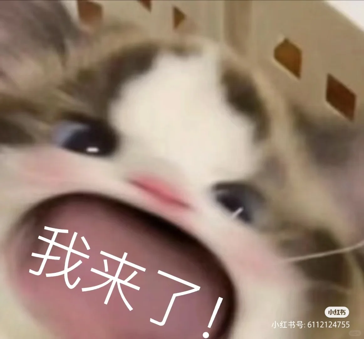 可爱表情包合集来啦！