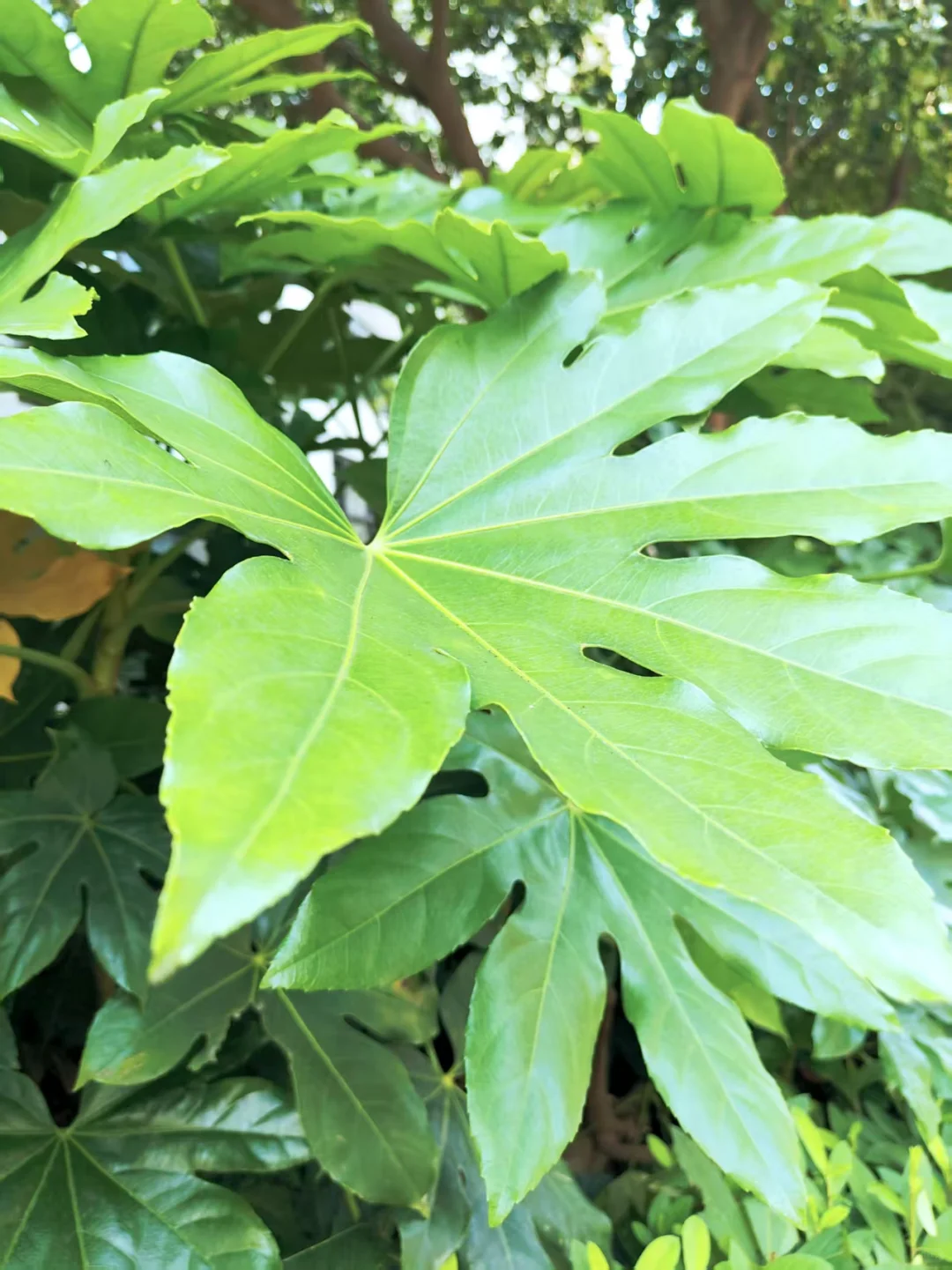 43岁不年轻了，还有人喜欢吗？
