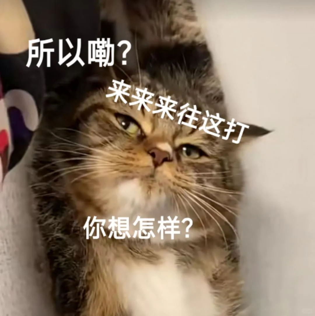贱兮兮表情包