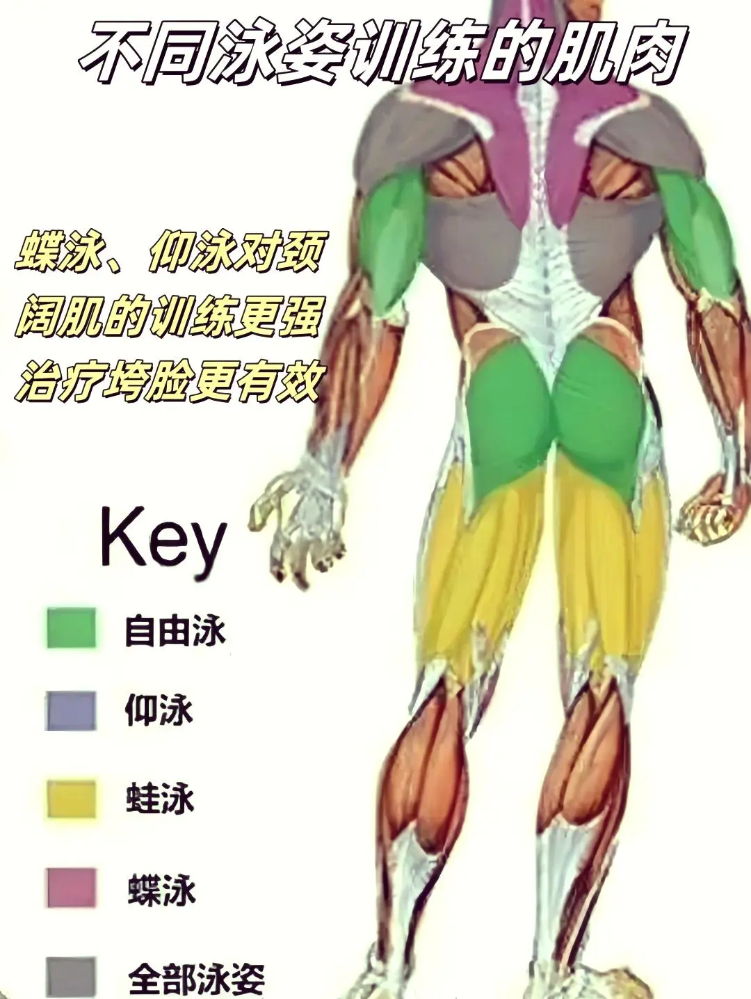 🏊游泳，女孩子的抗衰秘诀！