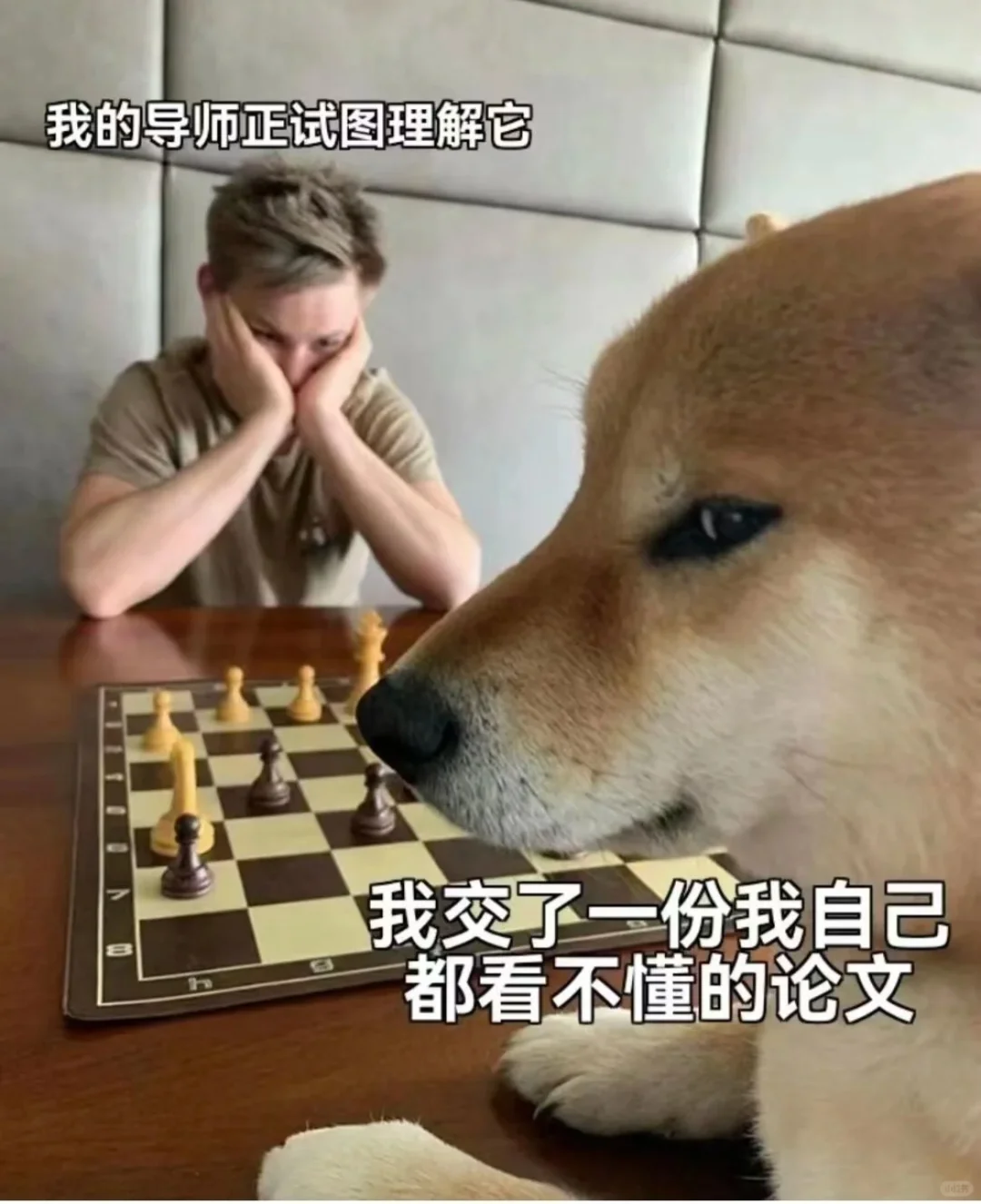 读研之后，非常喜欢的一些表情包！