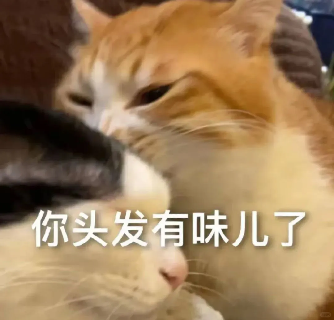 贱兮兮表情包