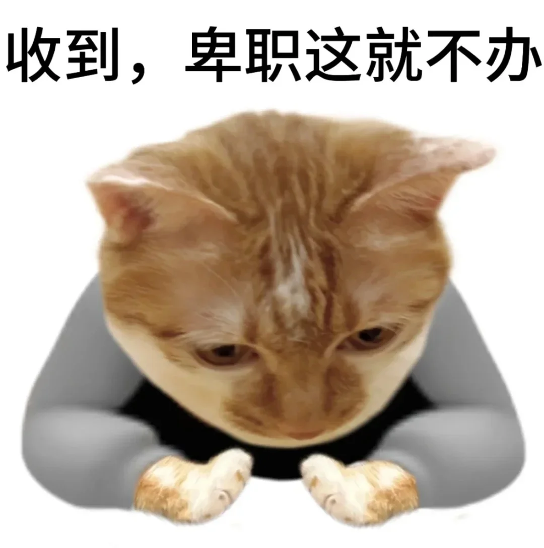 读研之后，非常喜欢的一些表情包！