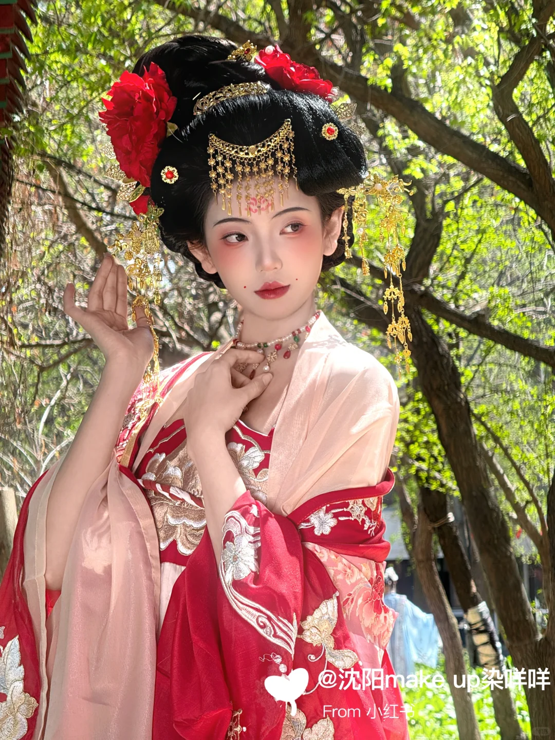 重生之我来到盛唐当大公主