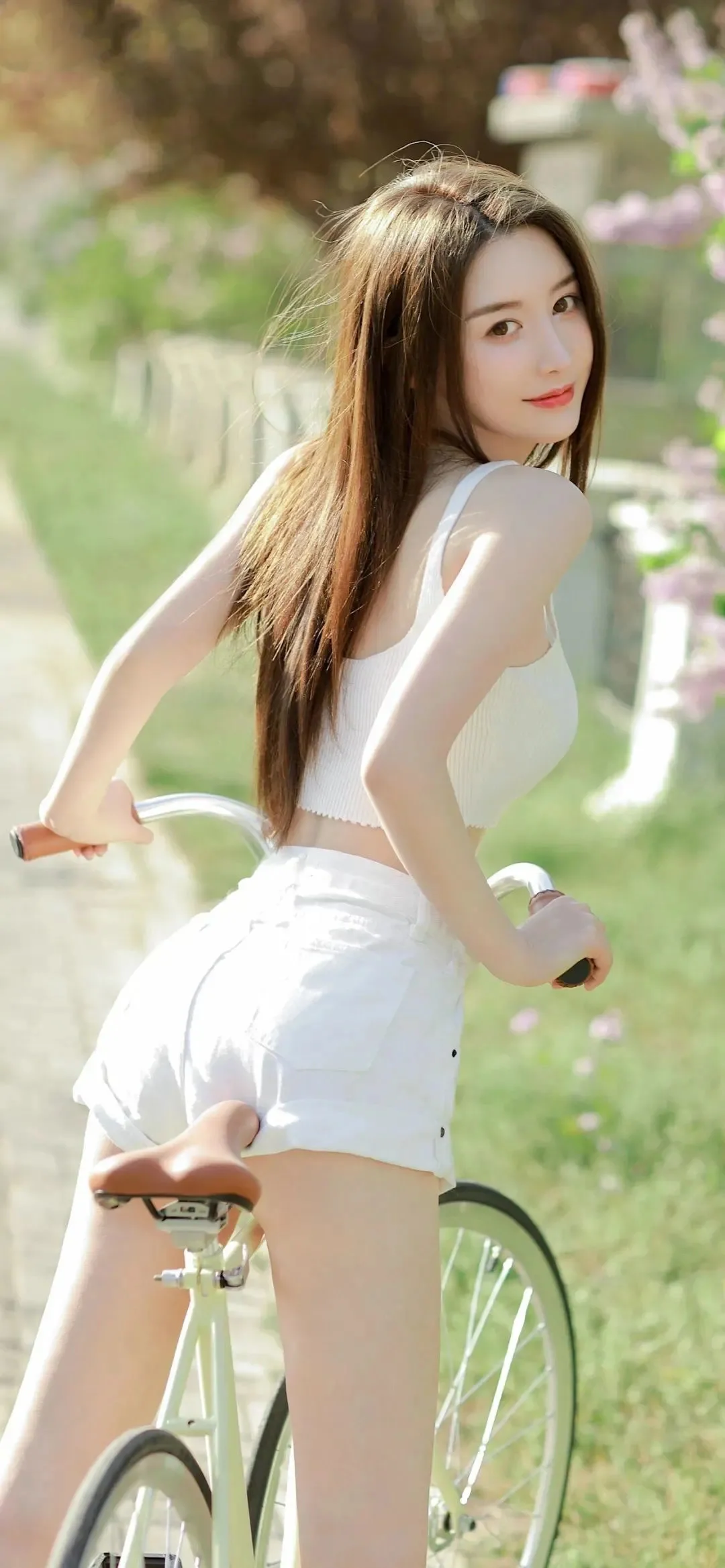 壁纸Pro