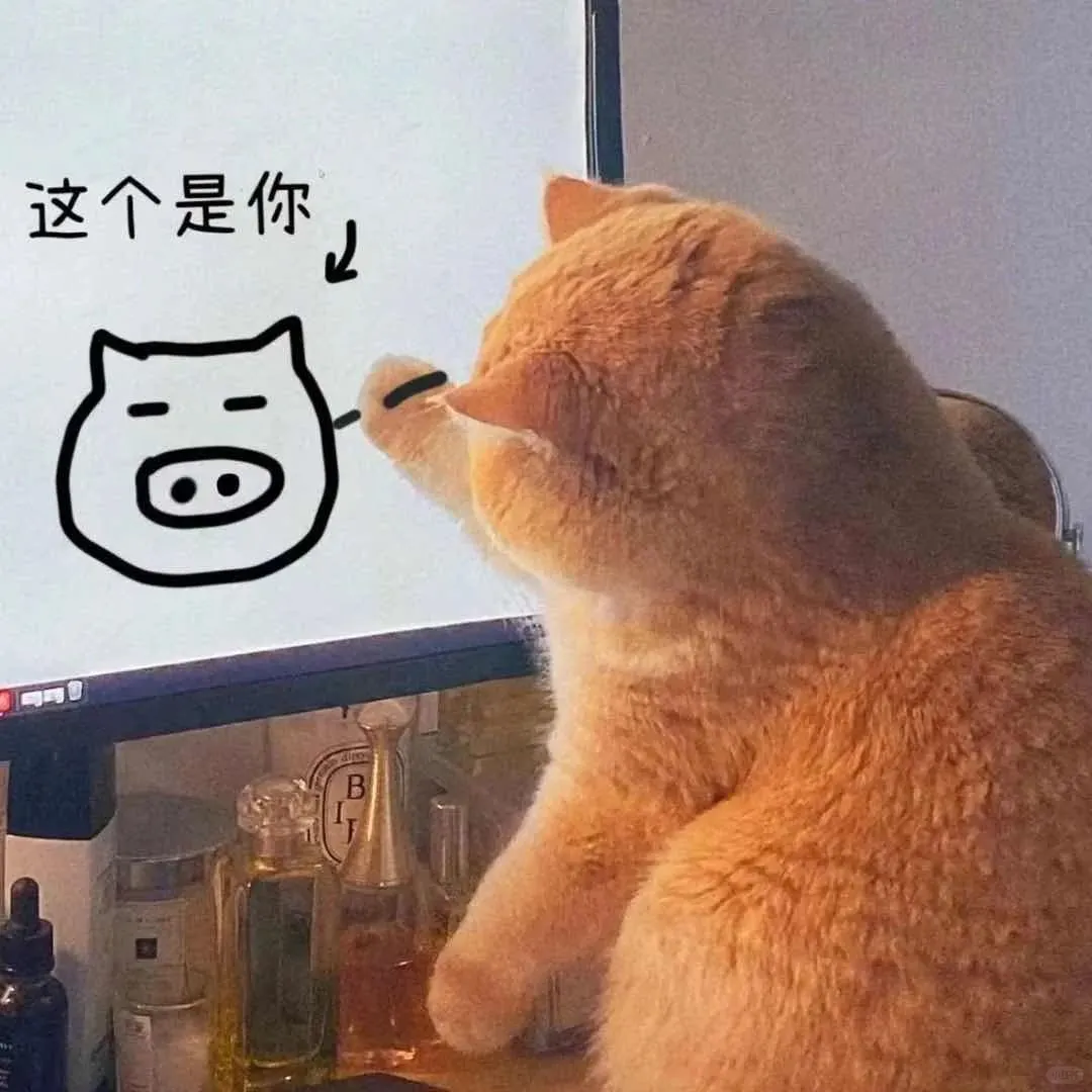 贱兮兮表情包