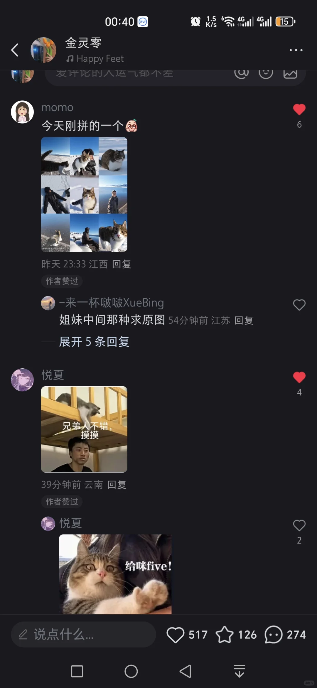 求更多悟空的美照。咱悟空是只会发光的猫咪