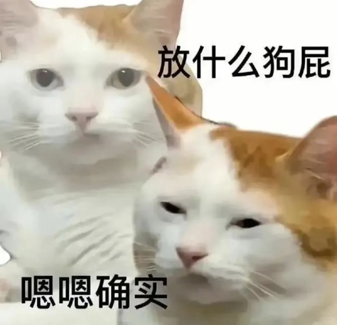 分享猫猫表情包