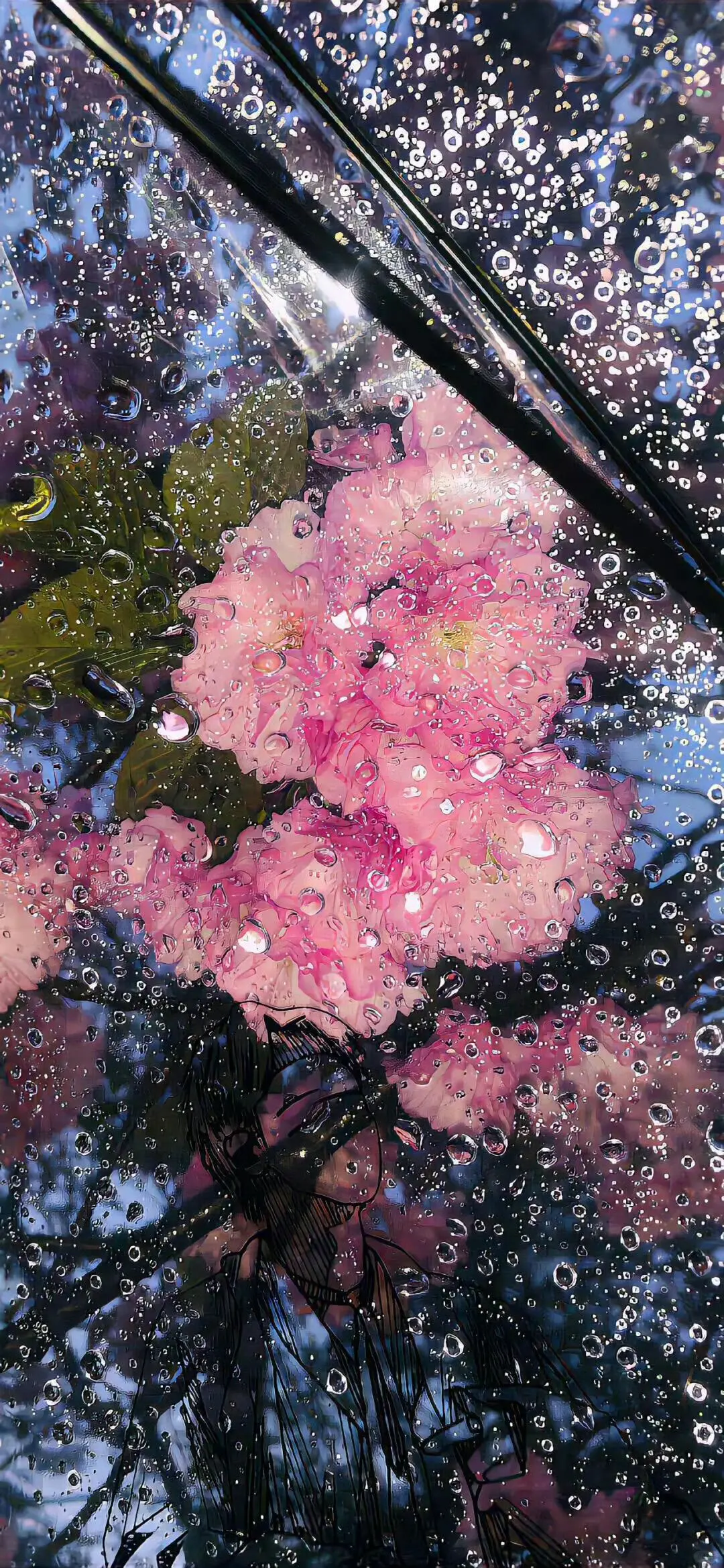 𝙎𝙝𝙖𝙧𝙚｜4k超清鲜花壁纸