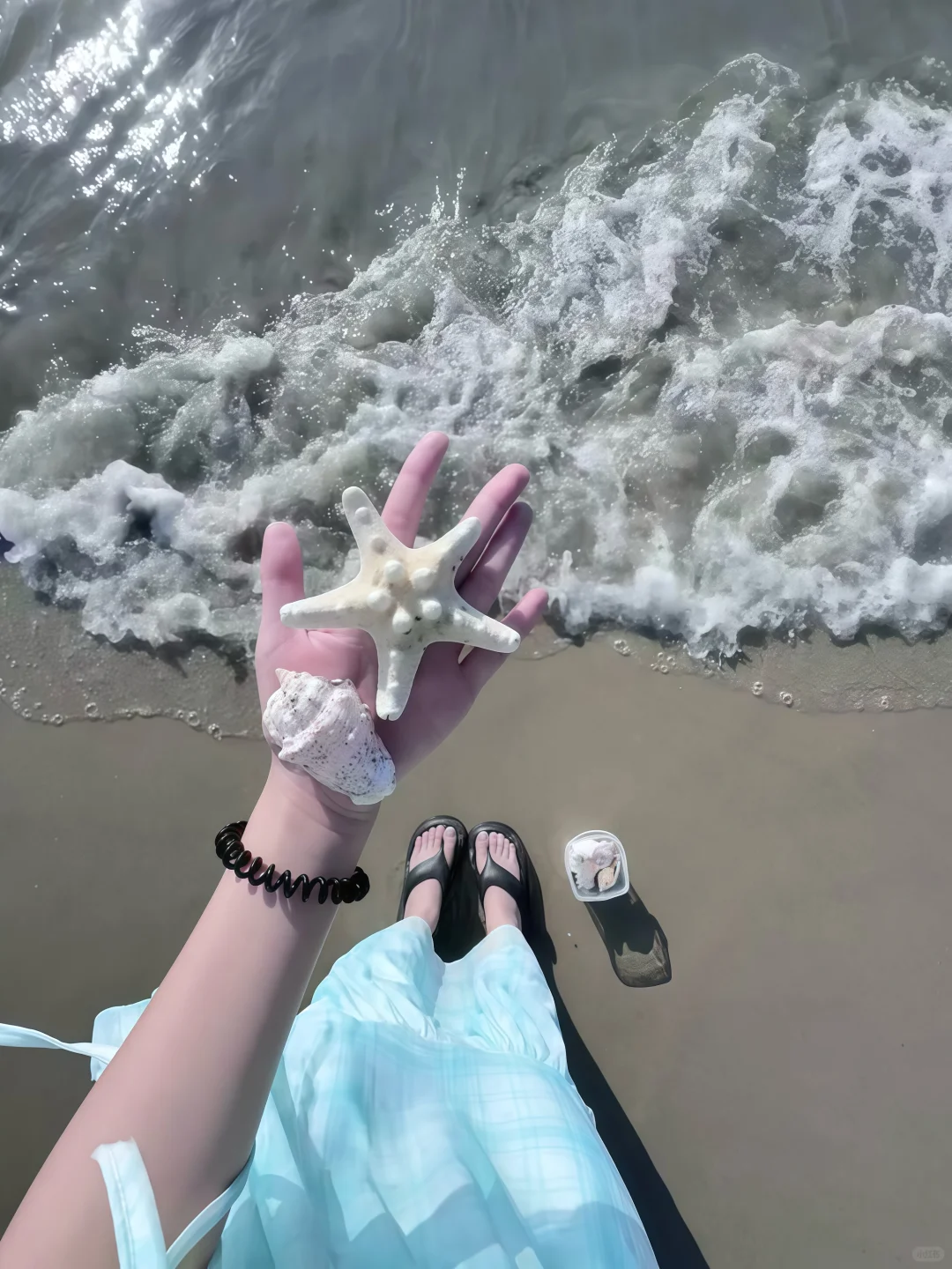 share壁纸🐬｜度假风🌴